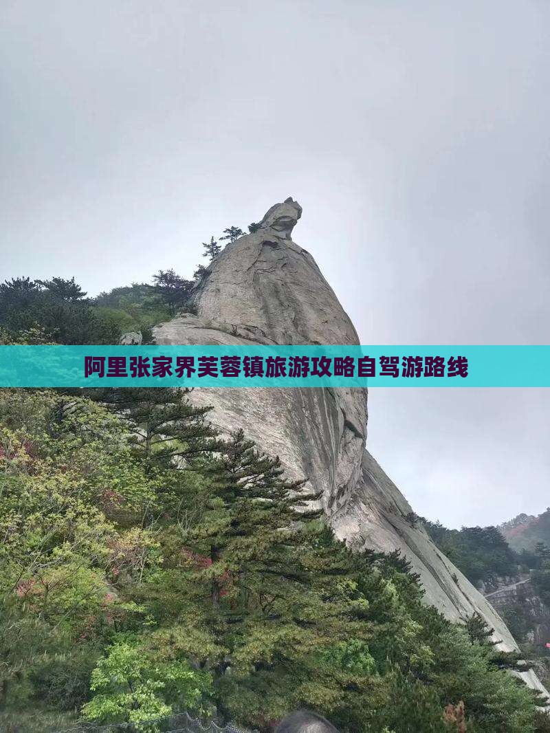 阿里去张家界芙蓉镇个人游