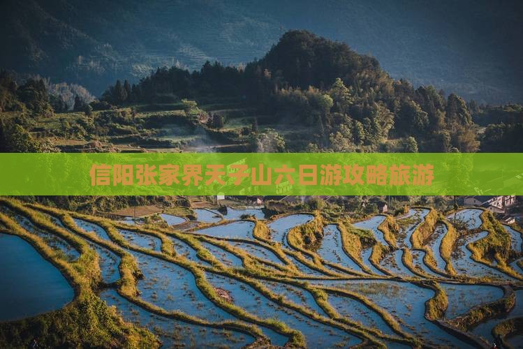 信阳去张家界天子山六日游