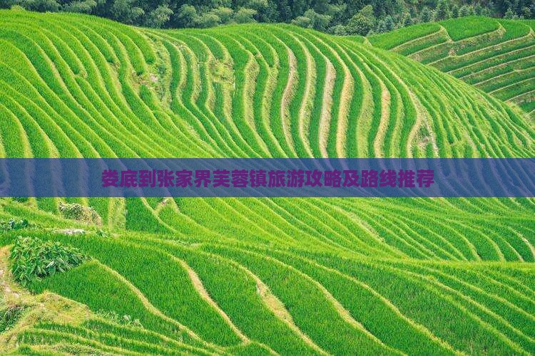娄底到张家界芙蓉镇旅游