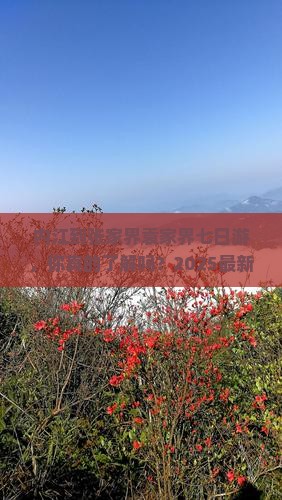 内江到张家界袁家界七日游