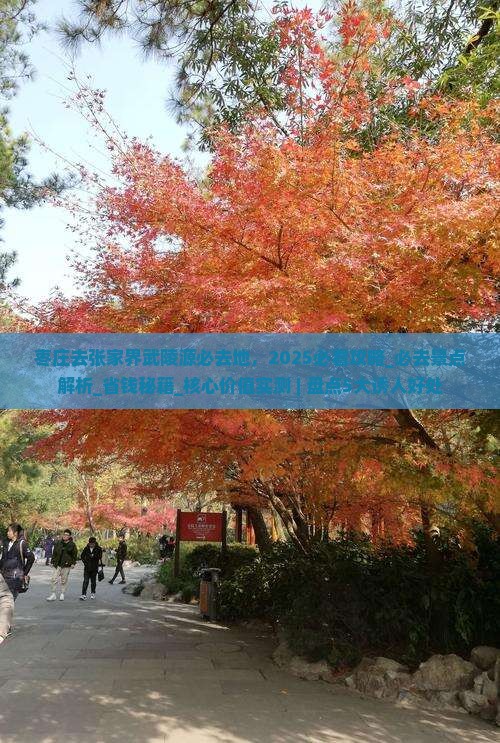 枣庄去张家界武陵源必去地
