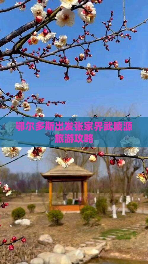 鄂尔多斯去张家界武陵源攻略