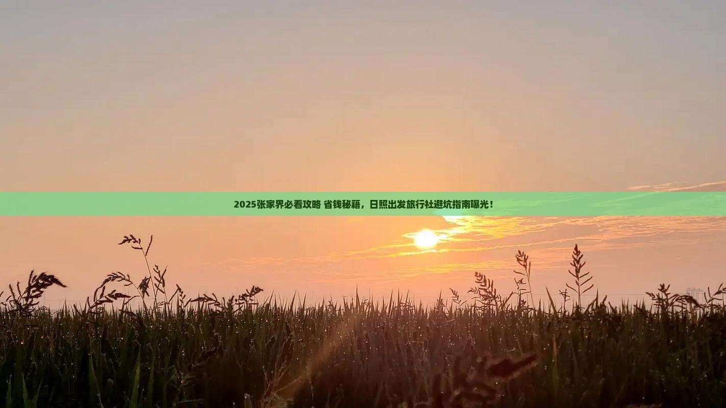 日照去张家界旅行社