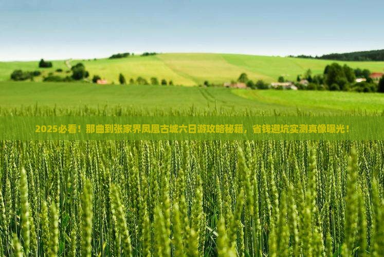那曲到张家界凤凰古城六日游