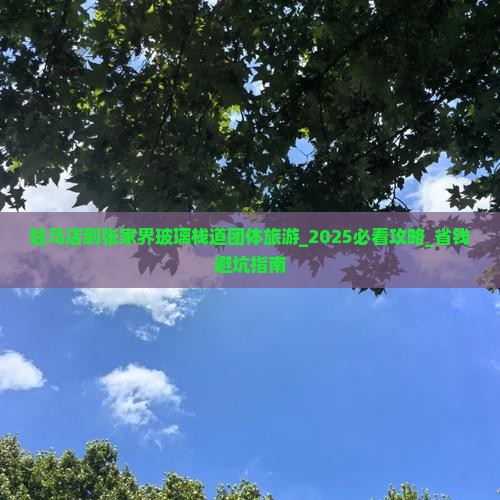 驻马店到张家界玻璃栈道团体旅游