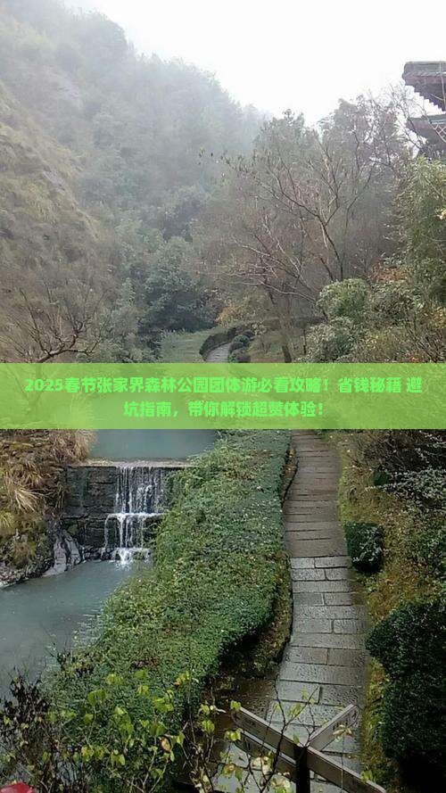 春节去张家界森林公园团体旅游