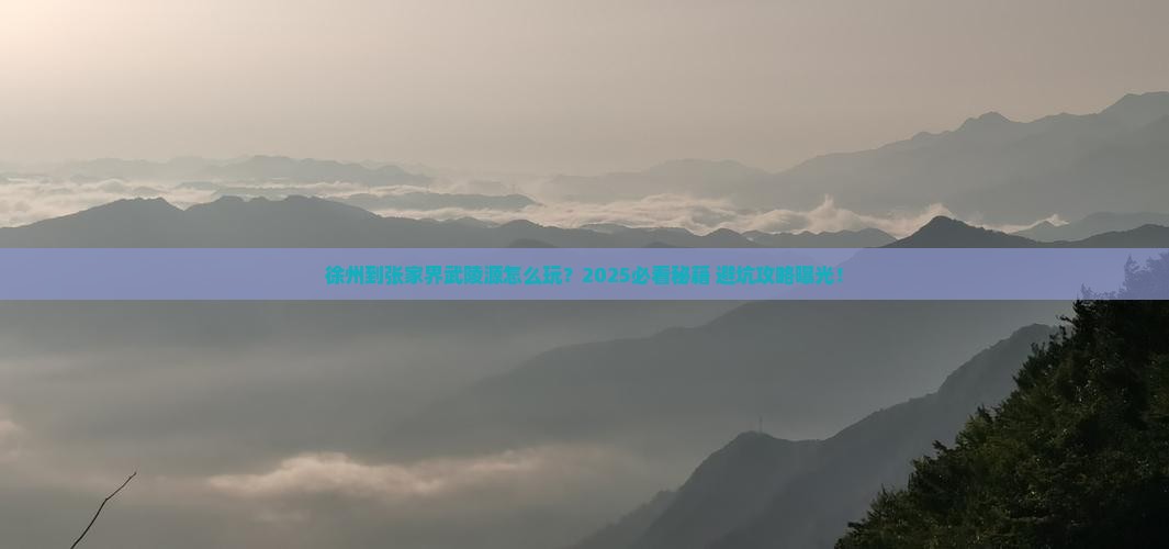 徐州到张家界武陵源哪里玩
