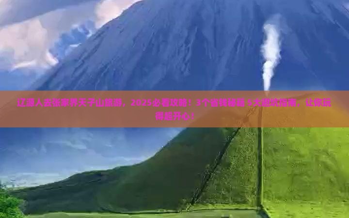 辽源去张家界天子山旅游