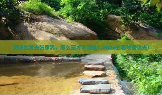 资阳去张家界旅行社