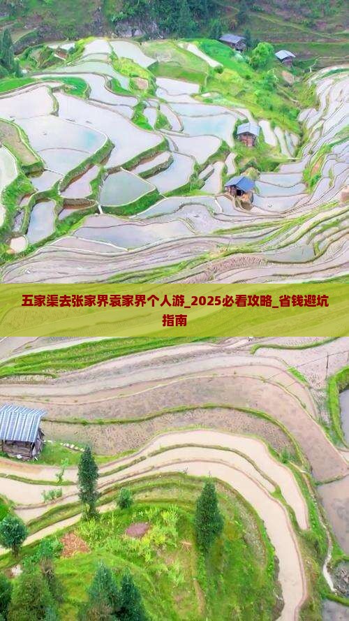 五家渠去张家界袁家界个人游