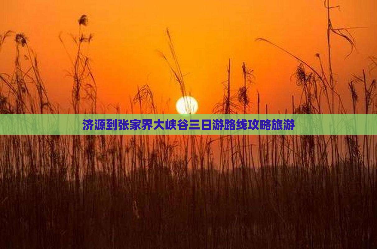 济源到张家界大峡谷三日游