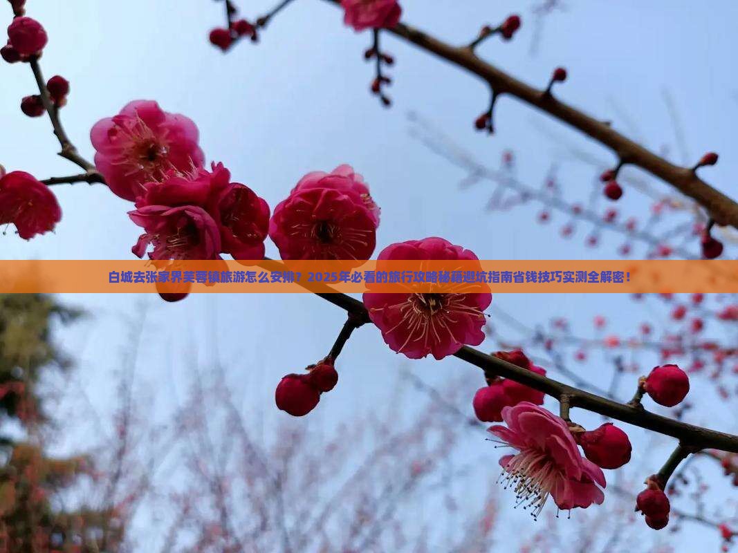 白城去张家界芙蓉镇旅游