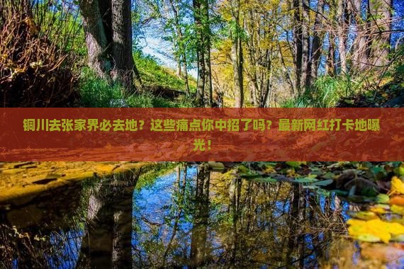 铜川去张家界必去地