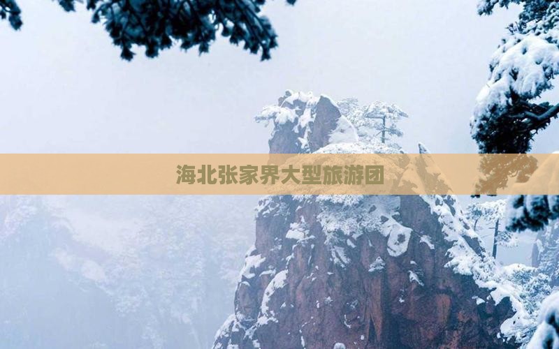 海北去张家界大型旅游团