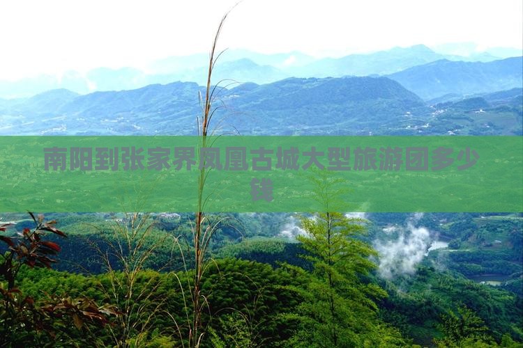 南阳到张家界凤凰古城大型旅游团