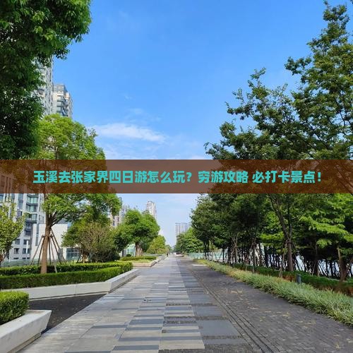 玉溪去张家界四日游
