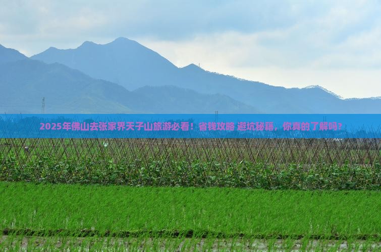 佛山去张家界天子山旅游