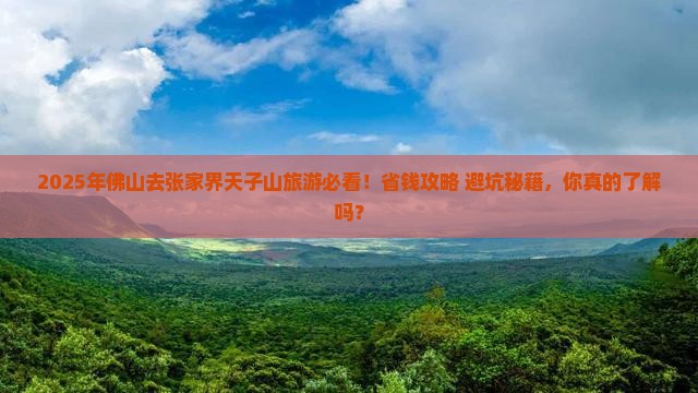 佛山去张家界天子山旅游