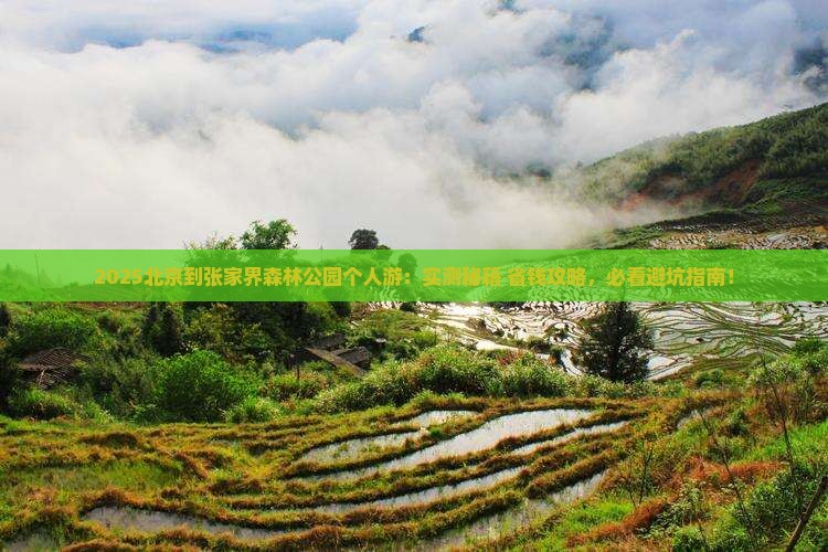 北京到张家界森林公园个人游