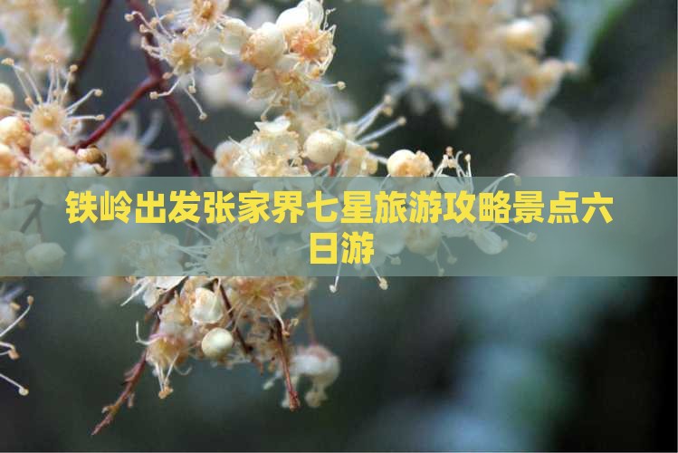 铁岭到张家界七星山六日游