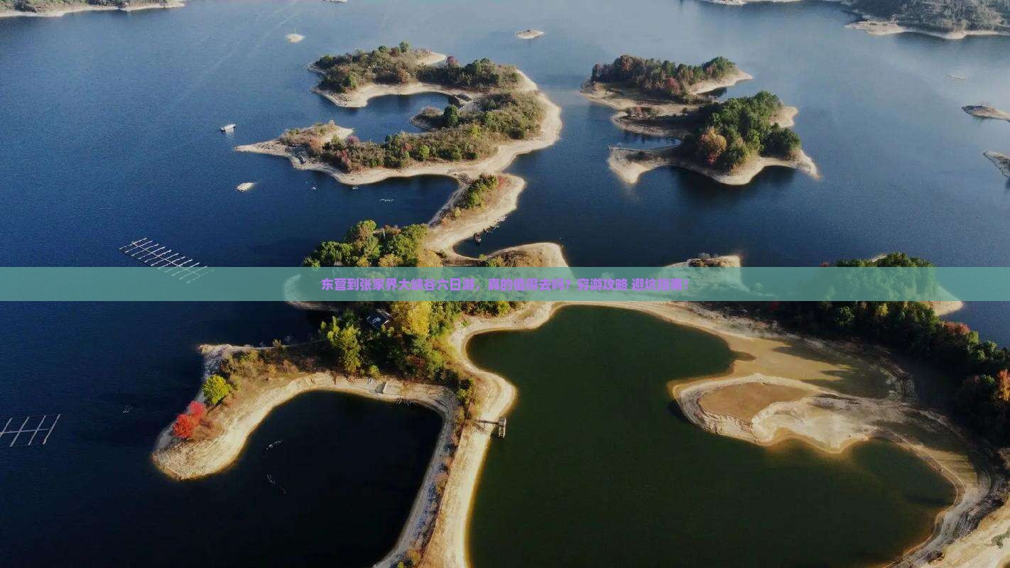 东营到张家界大峡谷六日游