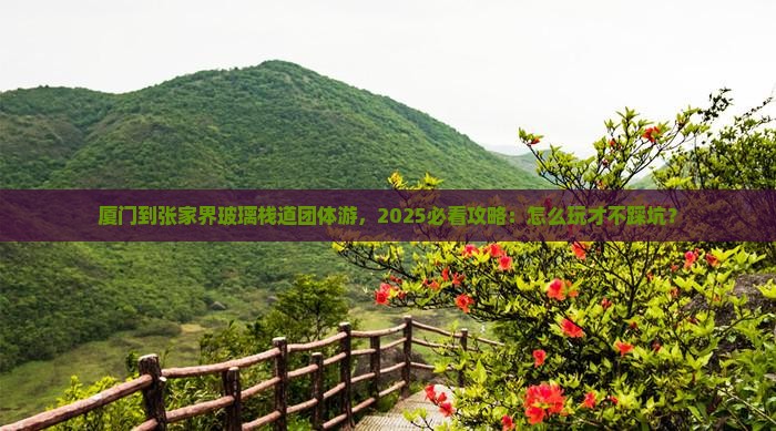 厦门到张家界玻璃栈道团体旅游
