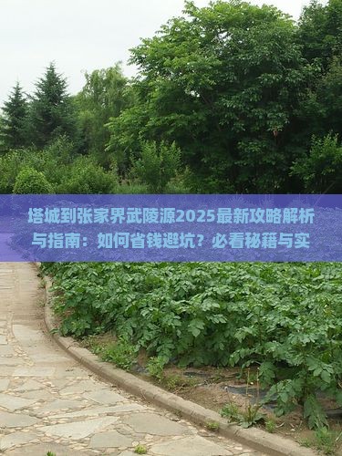 塔城到张家界武陵源攻略 塔城到张家界武陵源攻略