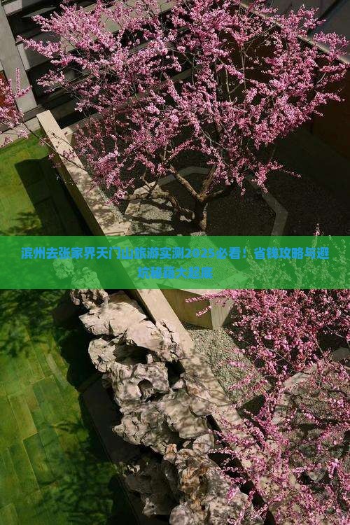 滨州去张家界天门山旅游