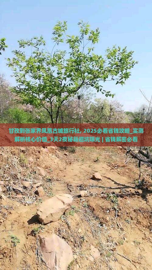 甘孜到张家界凤凰古城旅行社