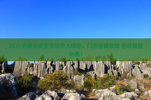 吕梁去张家界大峡谷门票