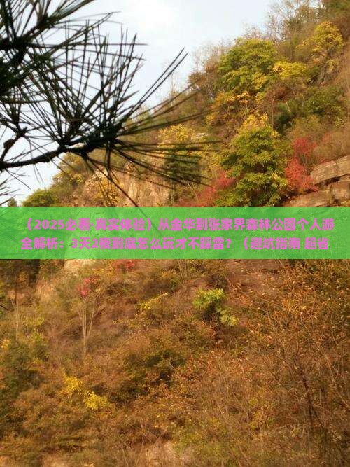 金华去张家界森林公园个人游
