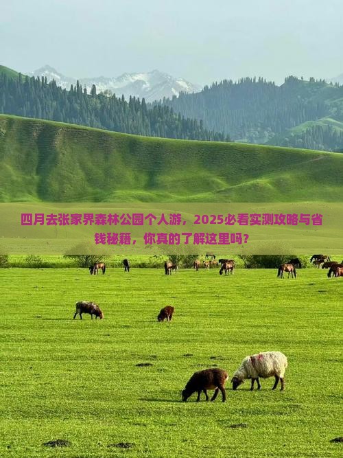 四月去张家界森林公园个人游