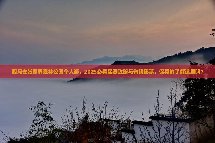四月去张家界森林公园个人游