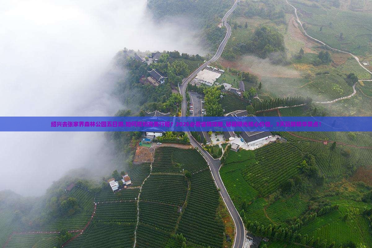 绍兴去张家界森林公园五日游