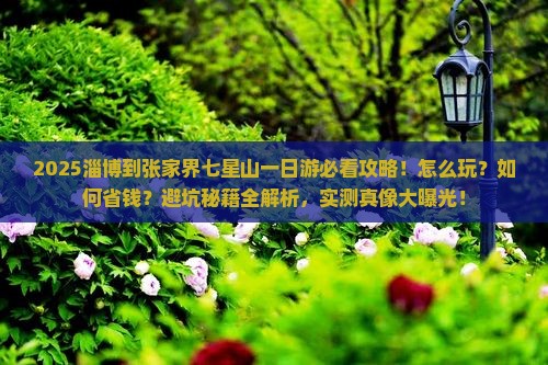 淄博到张家界七星山一日