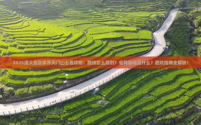 遵义去张家界天门山攻略
