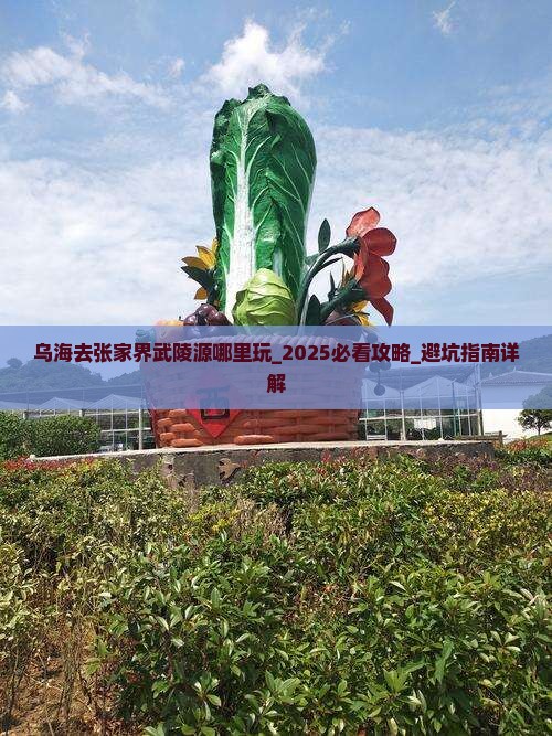 乌海去张家界武陵源哪里玩