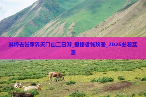 蚌埠去张家界天门山二日游 蚌埠去张家界天门山二日游