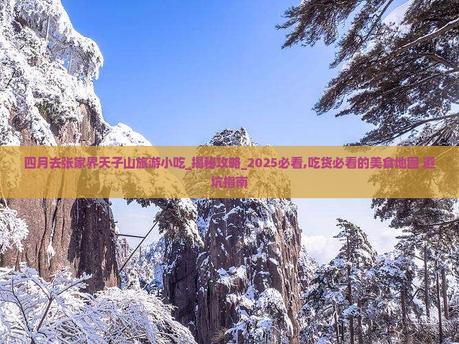 四月去张家界天子山旅游小吃