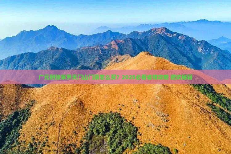 广元到张家界天门山门票