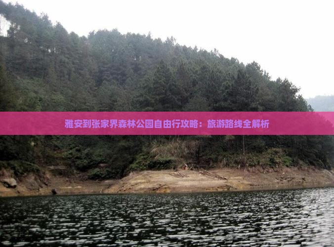 雅安到张家界森林公园自由行
