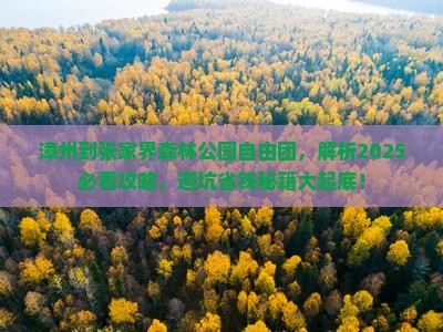 漳州到张家界森林公园自由团