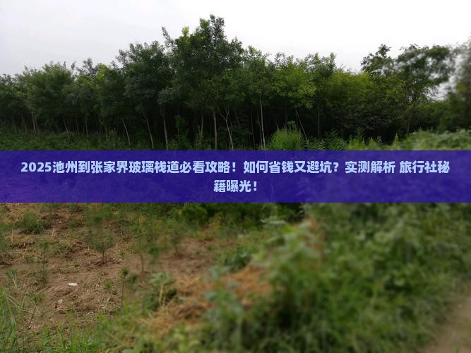 池州到张家界玻璃栈道旅行社