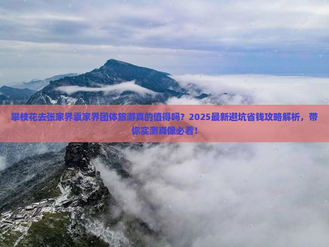 攀枝花去张家界袁家界团体旅游