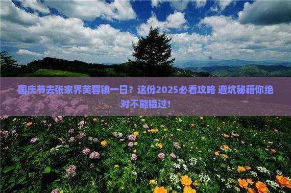 国庆节去张家界芙蓉镇一日