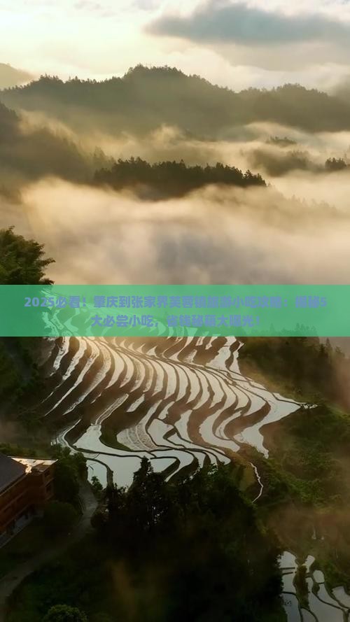 肇庆到张家界芙蓉镇旅游小吃