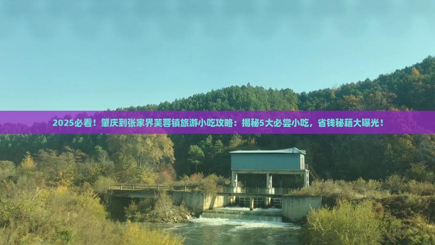肇庆到张家界芙蓉镇旅游小吃