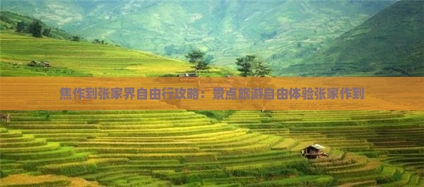 焦作去张家界自由行