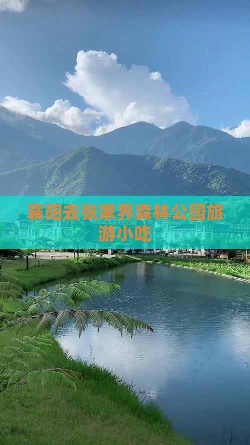 襄阳去张家界森林公园旅游小吃