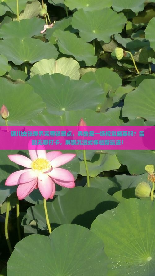 银川去张家界芙蓉镇景点
